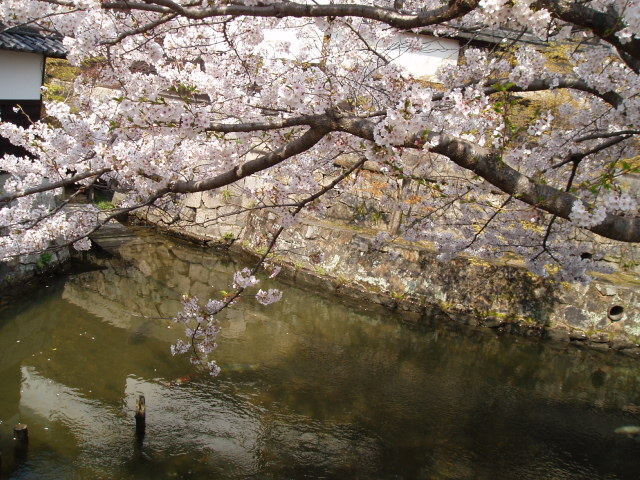 画像ファイル "http://blog.cnobi.jp/v1/blog/user/53fcee40803de136cae09155c36f843b/1239164719" は壊れているため、表示できませんでした。