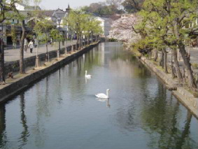 画像ファイル "http://blog.cnobi.jp/v1/blog/user/53fcee40803de136cae09155c36f843b/1239164799" は壊れているため、表示できませんでした。