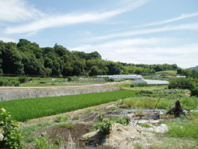 画像ファイル "http://blog.cnobi.jp/v1/blog/user/53fcee40803de136cae09155c36f843b/1250257294" は壊れているため、表示できませんでした。