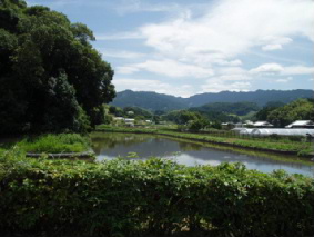 画像ファイル "http://blog.cnobi.jp/v1/blog/user/53fcee40803de136cae09155c36f843b/1250257372" は壊れているため、表示できませんでした。