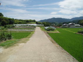 画像ファイル "http://blog.cnobi.jp/v1/blog/user/53fcee40803de136cae09155c36f843b/1250257374" は壊れているため、表示できませんでした。