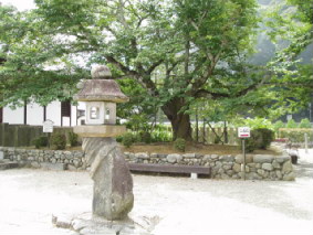 画像ファイル "http://blog.cnobi.jp/v1/blog/user/53fcee40803de136cae09155c36f843b/1250257576" は壊れているため、表示できませんでした。