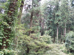 画像ファイル "http://blog.cnobi.jp/v1/blog/user/53fcee40803de136cae09155c36f843b/1250257695" は壊れているため、表示できませんでした。