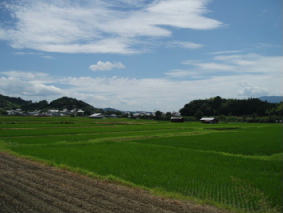 画像ファイル "http://blog.cnobi.jp/v1/blog/user/53fcee40803de136cae09155c36f843b/1250257744" は壊れているため、表示できませんでした。