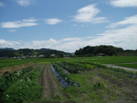 画像ファイル "http://blog.cnobi.jp/v1/blog/user/53fcee40803de136cae09155c36f843b/1250257791" は壊れているため、表示できませんでした。