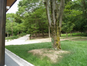 画像ファイル "http://blog.cnobi.jp/v1/blog/user/53fcee40803de136cae09155c36f843b/1250257834" は壊れているため、表示できませんでした。