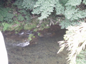 画像ファイル "http://blog.cnobi.jp/v1/blog/user/53fcee40803de136cae09155c36f843b/1250259634" は壊れているため、表示できませんでした。