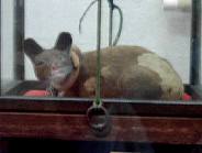 画像ファイル "http://blog.cnobi.jp/v1/blog/user/53fcee40803de136cae09155c36f843b/1250259773" は壊れているため、表示できませんでした。