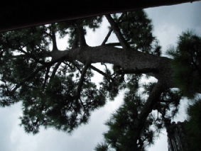 画像ファイル "http://blog.cnobi.jp/v1/blog/user/53fcee40803de136cae09155c36f843b/1250259921" は壊れているため、表示できませんでした。