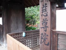 画像ファイル "http://blog.cnobi.jp/v1/blog/user/53fcee40803de136cae09155c36f843b/1250259923" は壊れているため、表示できませんでした。