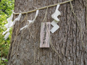 画像ファイル "http://blog.cnobi.jp/v1/blog/user/53fcee40803de136cae09155c36f843b/1250259968" は壊れているため、表示できませんでした。