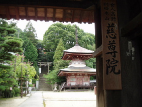 画像ファイル "http://blog.cnobi.jp/v1/blog/user/53fcee40803de136cae09155c36f843b/1250260026" は壊れているため、表示できませんでした。