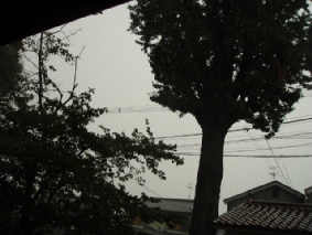 画像ファイル "http://blog.cnobi.jp/v1/blog/user/53fcee40803de136cae09155c36f843b/1250260125" は壊れているため、表示できませんでした。