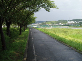 画像ファイル "http://blog.cnobi.jp/v1/blog/user/53fcee40803de136cae09155c36f843b/1250260164" は壊れているため、表示できませんでした。