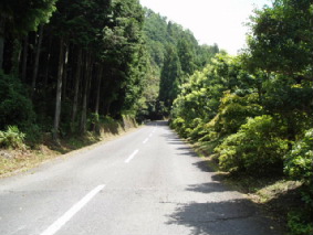 画像ファイル "http://blog.cnobi.jp/v1/blog/user/53fcee40803de136cae09155c36f843b/1251188443" は壊れているため、表示できませんでした。