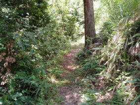 画像ファイル "http://blog.cnobi.jp/v1/blog/user/53fcee40803de136cae09155c36f843b/1251188480" は壊れているため、表示できませんでした。