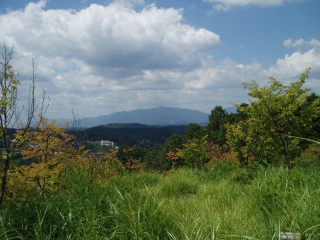 画像ファイル "http://blog.cnobi.jp/v1/blog/user/53fcee40803de136cae09155c36f843b/1251188505" は壊れているため、表示できませんでした。