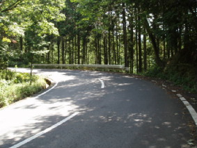 画像ファイル "http://blog.cnobi.jp/v1/blog/user/53fcee40803de136cae09155c36f843b/1251188558" は壊れているため、表示できませんでした。