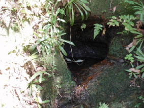 画像ファイル "http://blog.cnobi.jp/v1/blog/user/53fcee40803de136cae09155c36f843b/1251188561" は壊れているため、表示できませんでした。