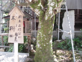 画像ファイル "http://blog.cnobi.jp/v1/blog/user/53fcee40803de136cae09155c36f843b/1251188606" は壊れているため、表示できませんでした。
