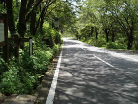 画像ファイル "http://blog.cnobi.jp/v1/blog/user/53fcee40803de136cae09155c36f843b/1251188645" は壊れているため、表示できませんでした。