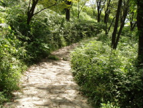 画像ファイル "http://blog.cnobi.jp/v1/blog/user/53fcee40803de136cae09155c36f843b/1251188646" は壊れているため、表示できませんでした。