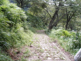 画像ファイル "http://blog.cnobi.jp/v1/blog/user/53fcee40803de136cae09155c36f843b/1251188648" は壊れているため、表示できませんでした。
