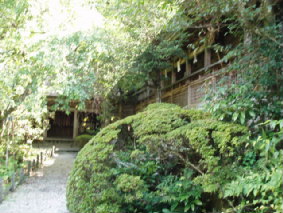 画像ファイル "http://blog.cnobi.jp/v1/blog/user/53fcee40803de136cae09155c36f843b/1251188726" は壊れているため、表示できませんでした。