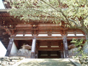 画像ファイル "http://blog.cnobi.jp/v1/blog/user/53fcee40803de136cae09155c36f843b/1251188901" は壊れているため、表示できませんでした。