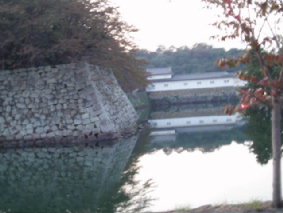 画像ファイル "http://blog.cnobi.jp/v1/blog/user/53fcee40803de136cae09155c36f843b/1255838239" は壊れているため、表示できませんでした。
