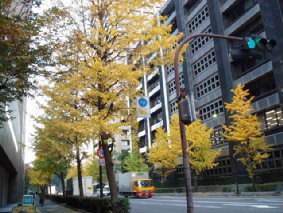 画像ファイル "http://blog.cnobi.jp/v1/blog/user/53fcee40803de136cae09155c36f843b/1260097907" は壊れているため、表示できませんでした。