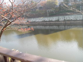 画像ファイル "http://blog.cnobi.jp/v1/blog/user/53fcee40803de136cae09155c36f843b/1260097981" は壊れているため、表示できませんでした。