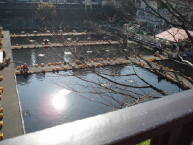 画像ファイル "http://blog.cnobi.jp/v1/blog/user/53fcee40803de136cae09155c36f843b/1260098016" は壊れているため、表示できませんでした。