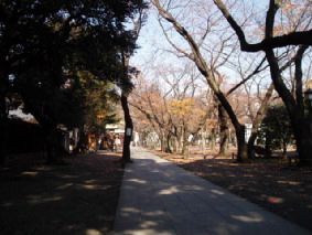 画像ファイル "http://blog.cnobi.jp/v1/blog/user/53fcee40803de136cae09155c36f843b/1260098060" は壊れているため、表示できませんでした。