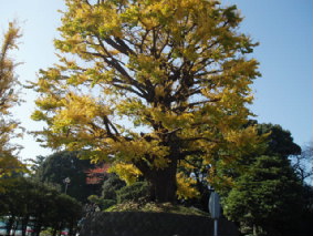 画像ファイル "http://blog.cnobi.jp/v1/blog/user/53fcee40803de136cae09155c36f843b/1260098253" は壊れているため、表示できませんでした。