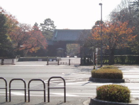 画像ファイル "http://blog.cnobi.jp/v1/blog/user/53fcee40803de136cae09155c36f843b/1260098257" は壊れているため、表示できませんでした。