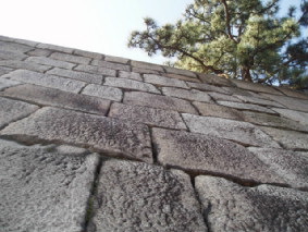画像ファイル "http://blog.cnobi.jp/v1/blog/user/53fcee40803de136cae09155c36f843b/1260098306" は壊れているため、表示できませんでした。