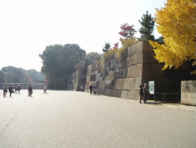 画像ファイル "http://blog.cnobi.jp/v1/blog/user/53fcee40803de136cae09155c36f843b/1260098434" は壊れているため、表示できませんでした。