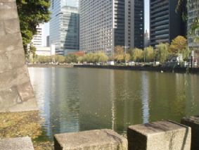 画像ファイル "http://blog.cnobi.jp/v1/blog/user/53fcee40803de136cae09155c36f843b/1260098510" は壊れているため、表示できませんでした。