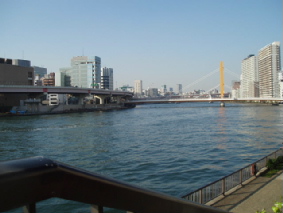 画像ファイル "http://blog.cnobi.jp/v1/blog/user/53fcee40803de136cae09155c36f843b/1260098565" は壊れているため、表示できませんでした。