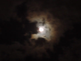 画像ファイル "http://blog.cnobi.jp/v1/blog/user/53fcee40803de136cae09155c36f843b/1260098743" は壊れているため、表示できませんでした。