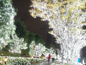 画像ファイル "http://blog.cnobi.jp/v1/blog/user/53fcee40803de136cae09155c36f843b/1260098784" は壊れているため、表示できませんでした。