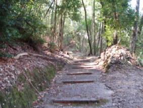 画像ファイル "http://blog.cnobi.jp/v1/blog/user/53fcee40803de136cae09155c36f843b/1272115232" は壊れているため、表示できませんでした。
