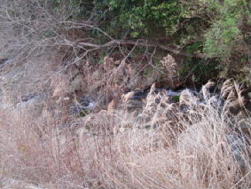 画像ファイル "http://blog.cnobi.jp/v1/blog/user/53fcee40803de136cae09155c36f843b/1272115291" は壊れているため、表示できませんでした。
