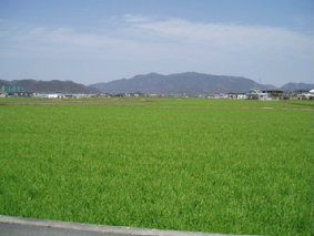 画像ファイル "http://blog.cnobi.jp/v1/blog/user/53fcee40803de136cae09155c36f843b/1272115553" は壊れているため、表示できませんでした。
