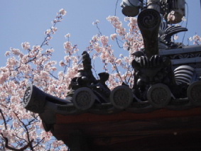 画像ファイル "http://blog.cnobi.jp/v1/blog/user/53fcee40803de136cae09155c36f843b/1272115641" は壊れているため、表示できませんでした。