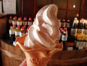 画像ファイル "http://blog.cnobi.jp/v1/blog/user/53fcee40803de136cae09155c36f843b/1272115729" は壊れているため、表示できませんでした。