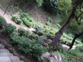 画像ファイル "http://blog.cnobi.jp/v1/blog/user/53fcee40803de136cae09155c36f843b/1278651959" は壊れているため、表示できませんでした。