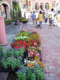 画像ファイル "http://blog.cnobi.jp/v1/blog/user/53fcee40803de136cae09155c36f843b/1278652133" は壊れているため、表示できませんでした。