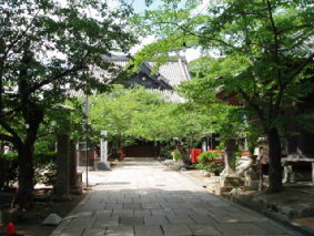 画像ファイル "http://blog.cnobi.jp/v1/blog/user/53fcee40803de136cae09155c36f843b/1278652218" は壊れているため、表示できませんでした。